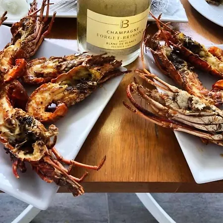 Belka Golf Exclusive Deluxbelek