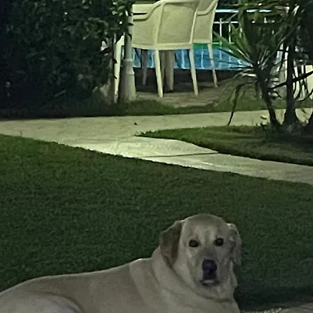 Belka Golf Exclusive Deluxbelek Διαμέρισμα *