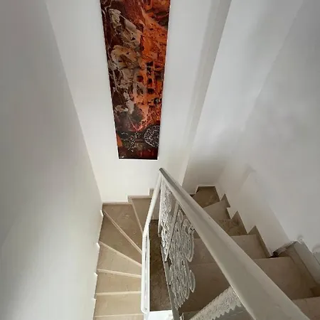 Belka Golf Exclusive Deluxbelek *